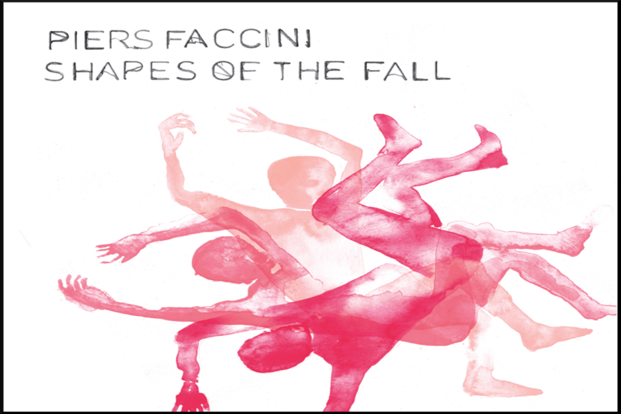 Piers Faccini - Shapes of the Fall