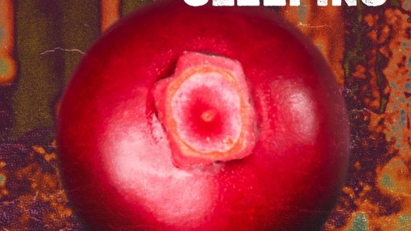 foto cover