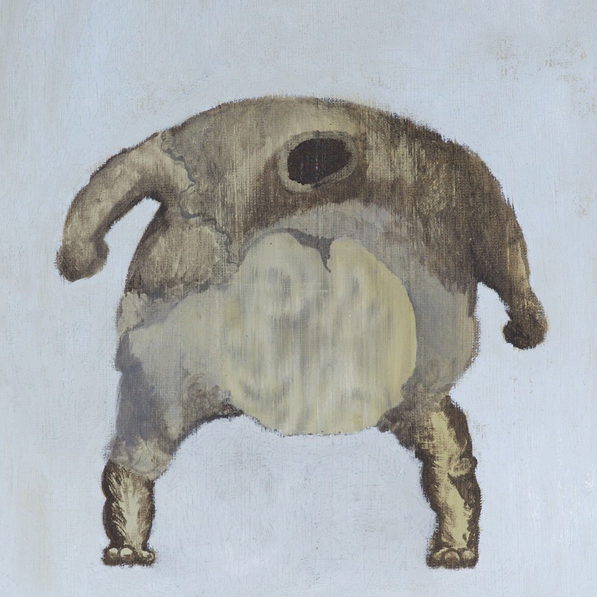 foto cover
