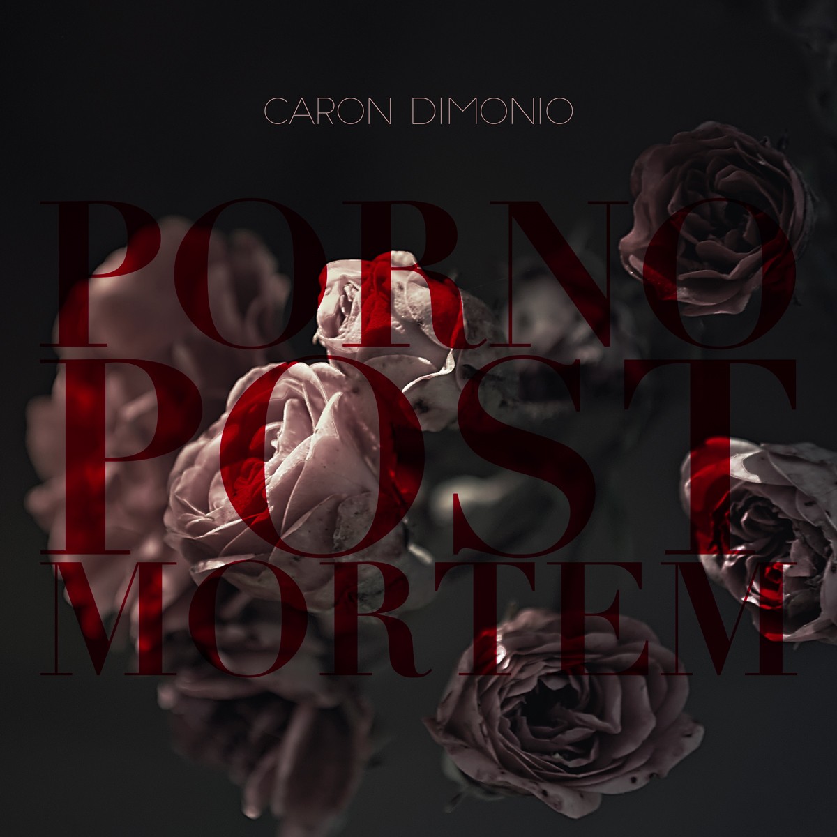 foto cover