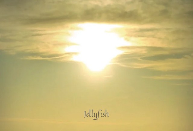 foto cover