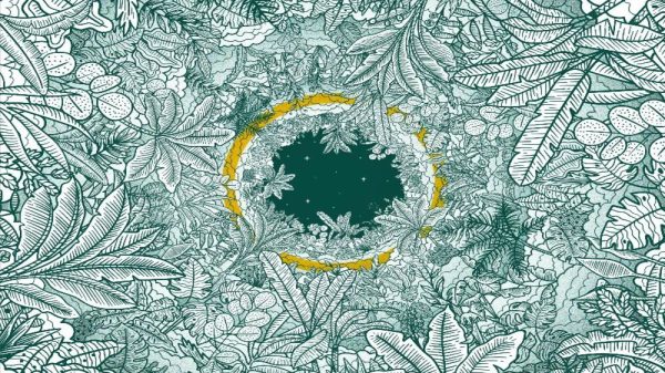"Inner Jungle", Wicked Expectation.