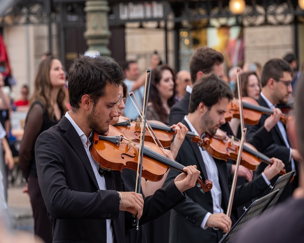 Ritmico Sinfonica Young Orchestra, audizioni.