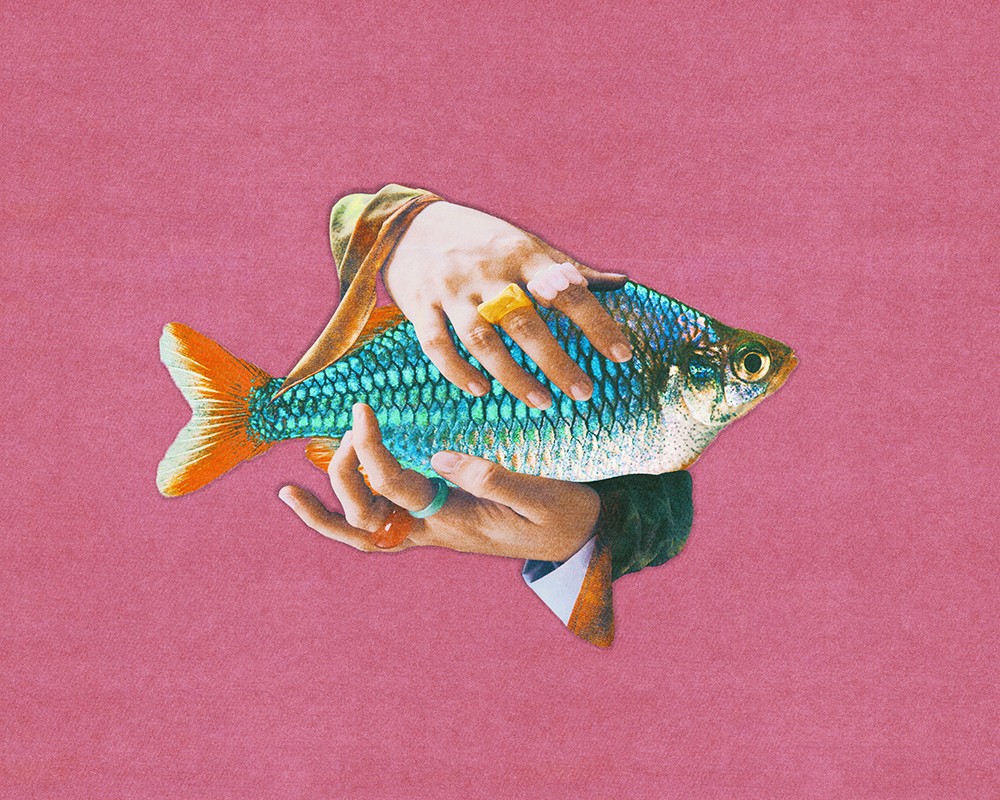 foto cover