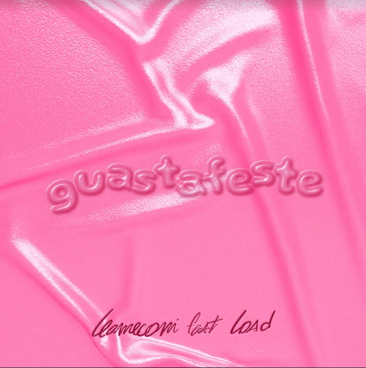 copertina del singolo "guastafeste" di Leomeconi