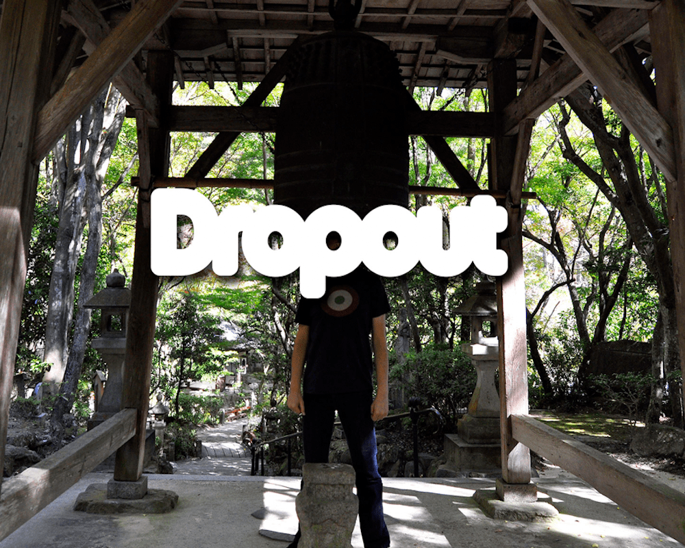 immagine copertina artista dropout