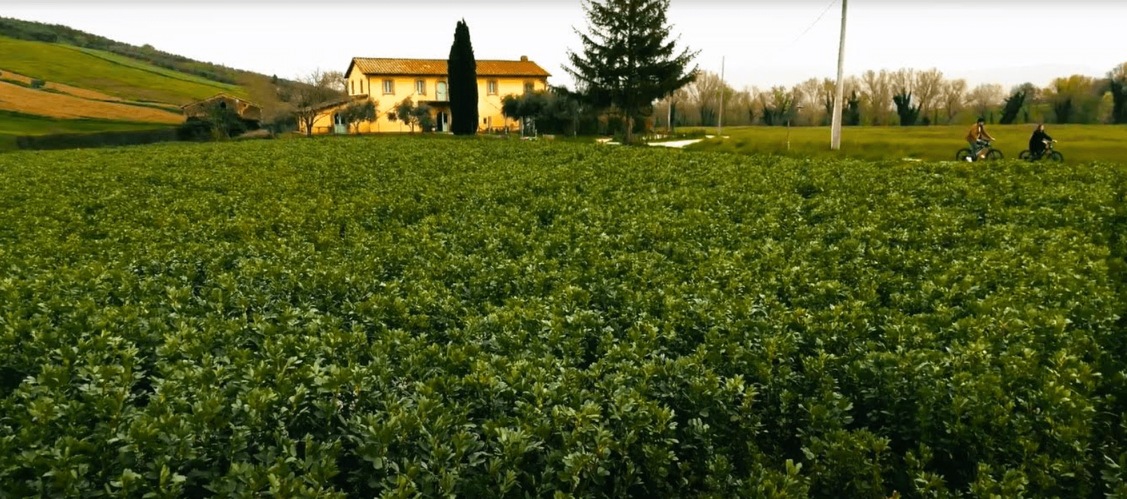 casale Viridi in Umbria