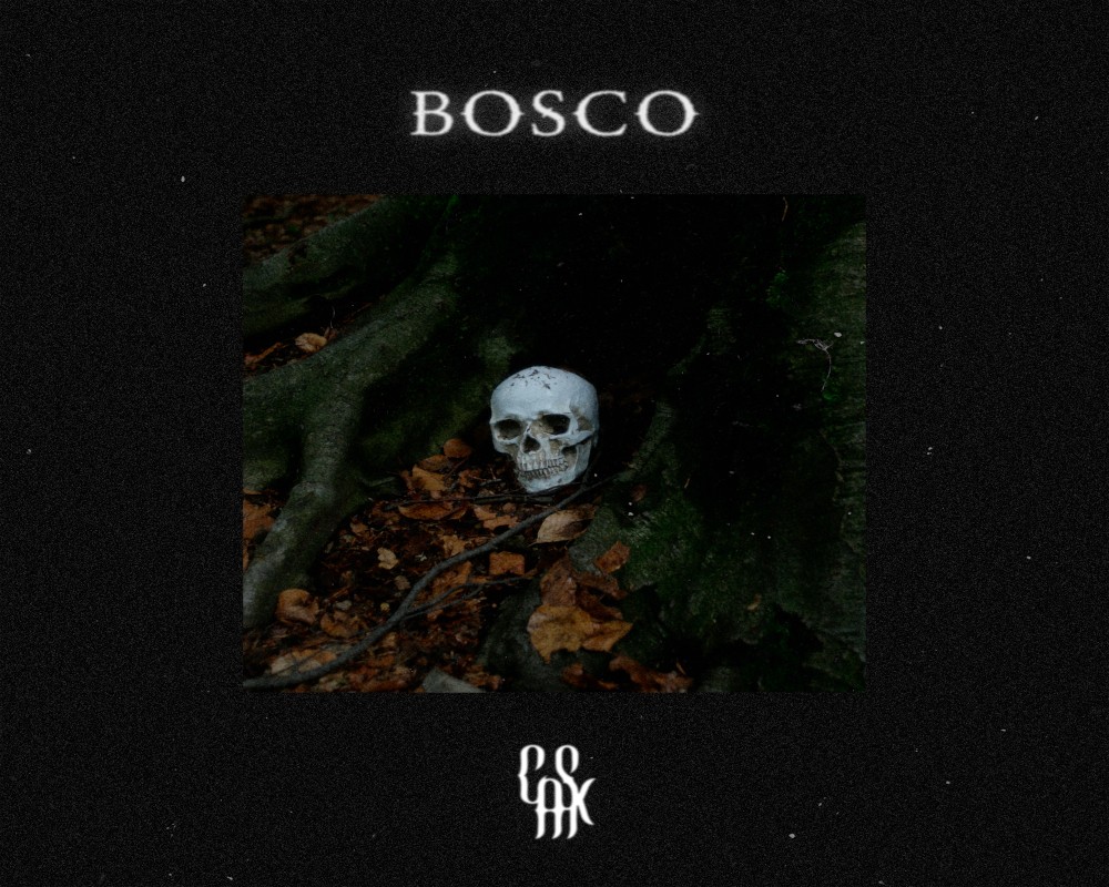 copertina bosco di casx