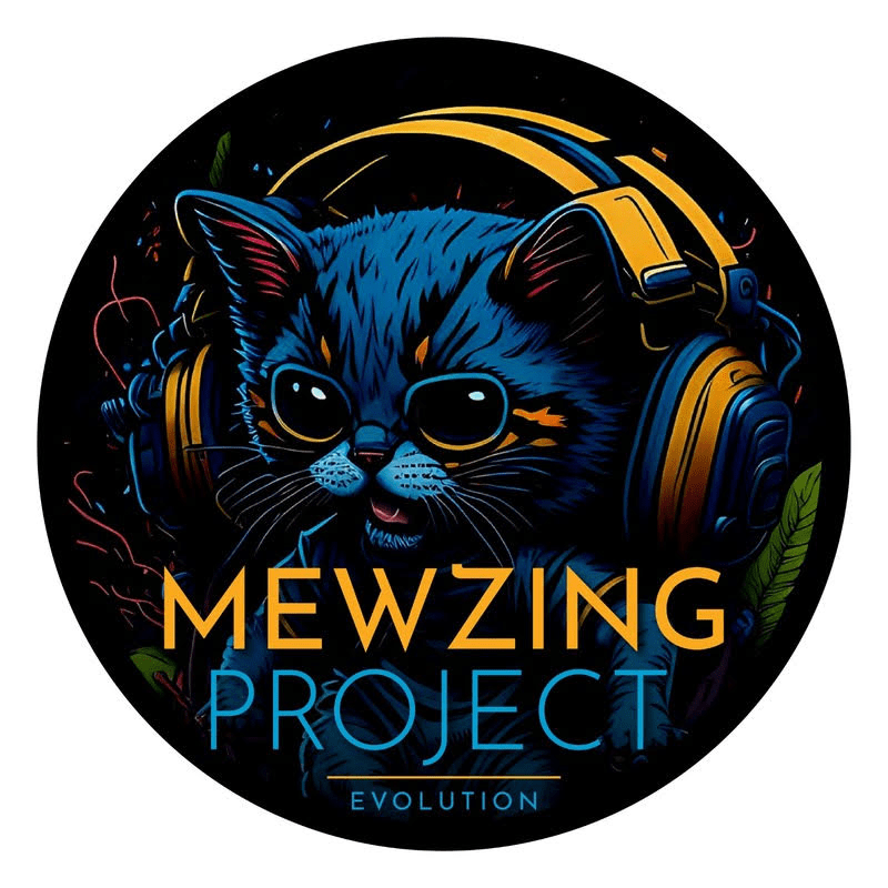 copertina dell'innovativo Mewzing Project