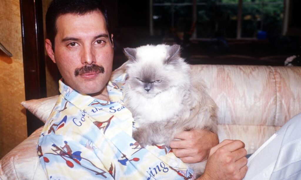 Freddie Mercury