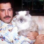 Freddie Mercury