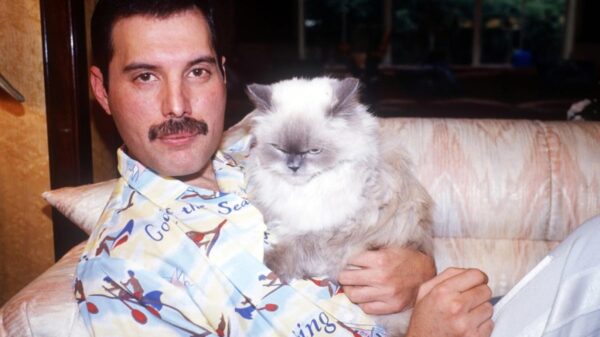 Freddie Mercury